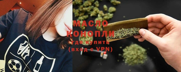 сатива Волоколамск