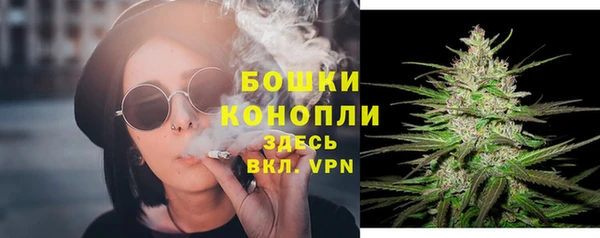 сатива Волоколамск