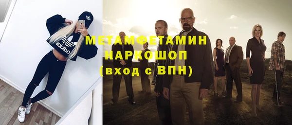 сатива Волоколамск