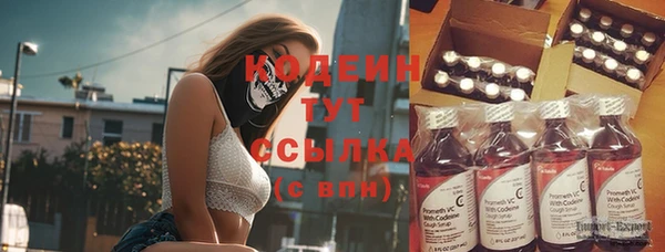 сатива Волоколамск
